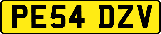 PE54DZV