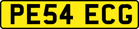 PE54ECG