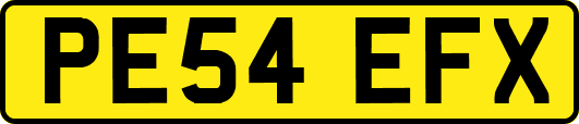 PE54EFX