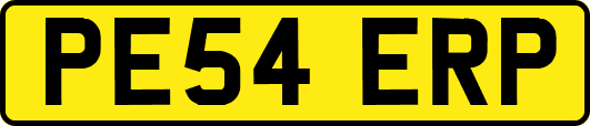 PE54ERP