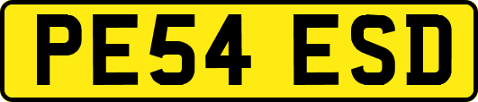 PE54ESD