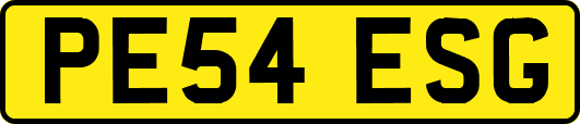 PE54ESG