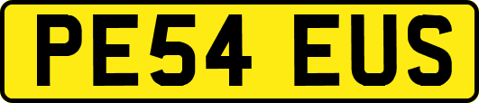 PE54EUS