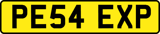 PE54EXP