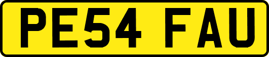 PE54FAU