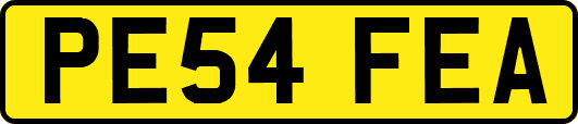 PE54FEA