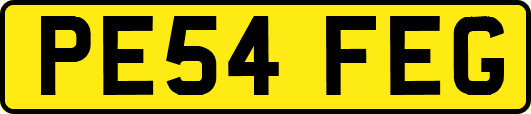 PE54FEG