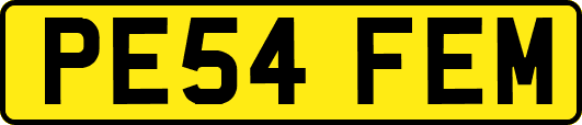 PE54FEM