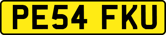 PE54FKU