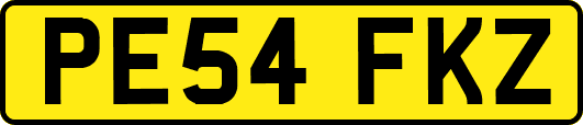PE54FKZ