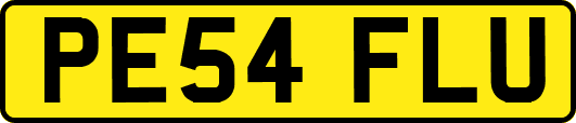 PE54FLU