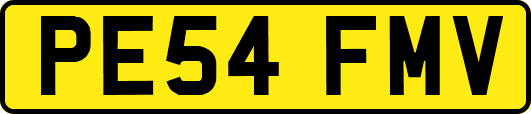 PE54FMV