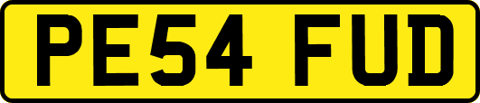 PE54FUD
