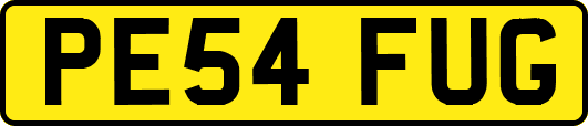 PE54FUG