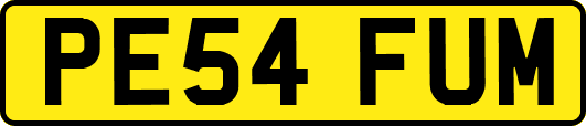 PE54FUM
