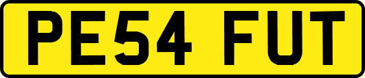 PE54FUT