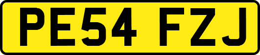 PE54FZJ