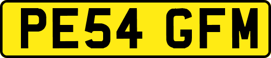 PE54GFM
