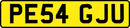 PE54GJU