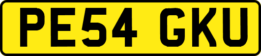 PE54GKU