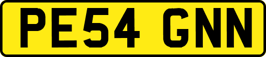 PE54GNN