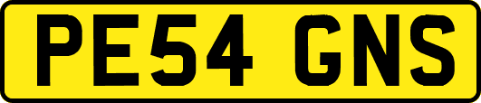 PE54GNS