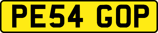PE54GOP