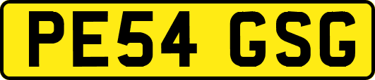 PE54GSG