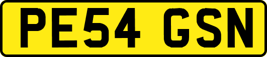 PE54GSN
