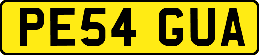 PE54GUA