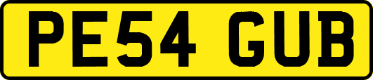 PE54GUB