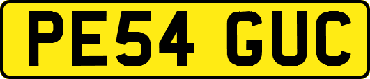 PE54GUC