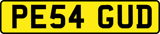 PE54GUD