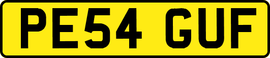 PE54GUF