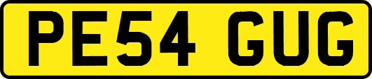 PE54GUG