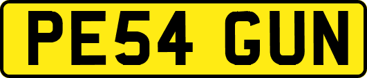 PE54GUN