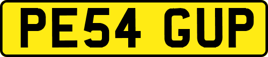PE54GUP