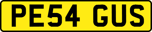 PE54GUS
