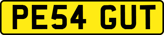 PE54GUT