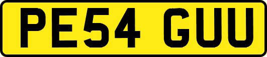 PE54GUU