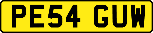PE54GUW