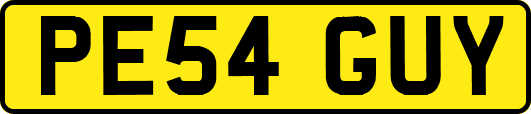 PE54GUY
