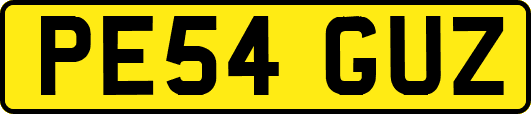 PE54GUZ