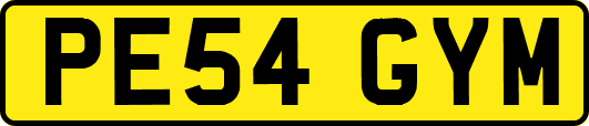 PE54GYM