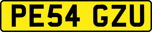 PE54GZU