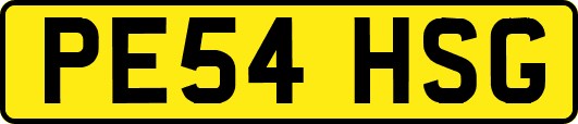 PE54HSG