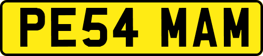 PE54MAM