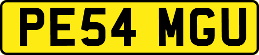 PE54MGU