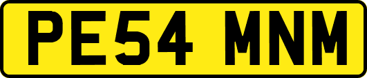 PE54MNM