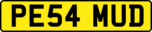 PE54MUD